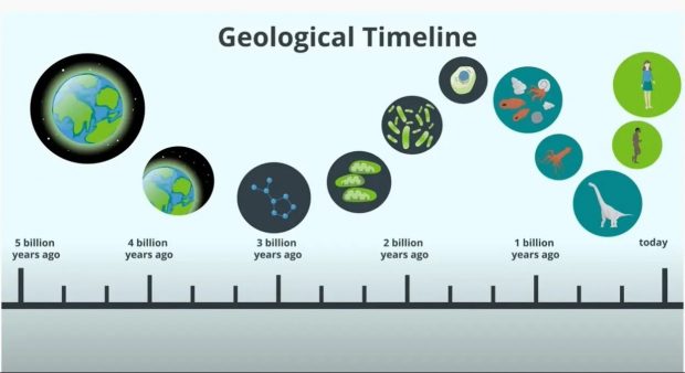 Geological Timeline